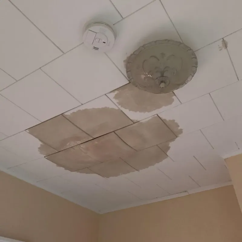 Ceiling Water Damage Repair in Lindenhurst, IL