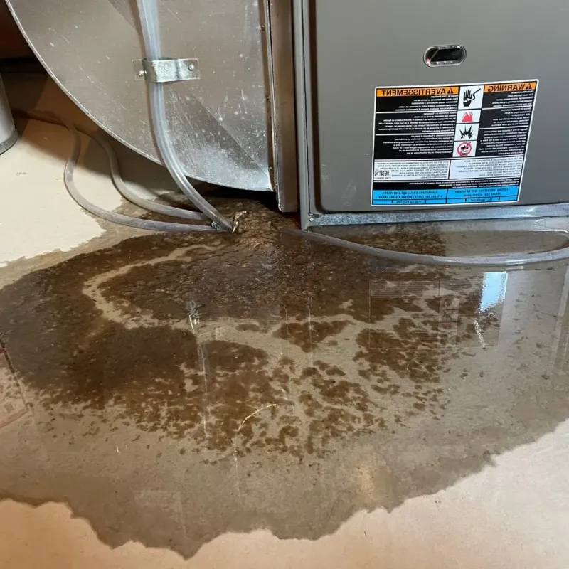Pipe Burst and Leak Restoration in Lindenhurst, IL