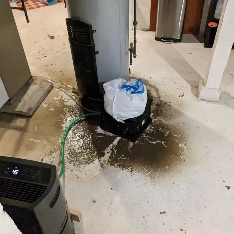 Sewage Backup Cleanup Service in Lindenhurst, IL